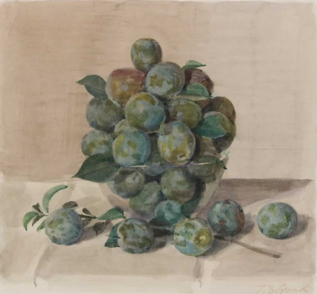 Coupe et branche de Reines-claudes