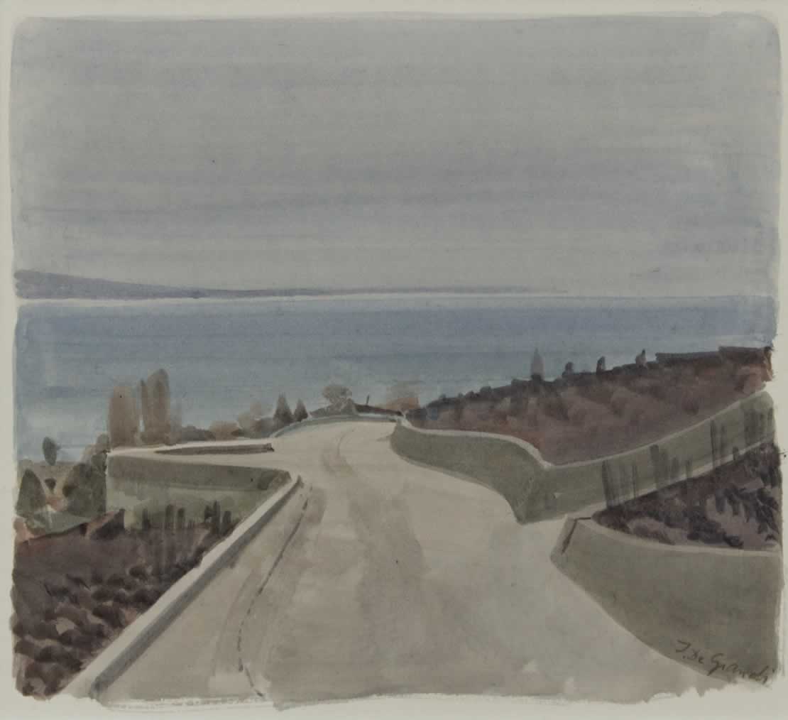 Vignes au-dessus de Corseaux