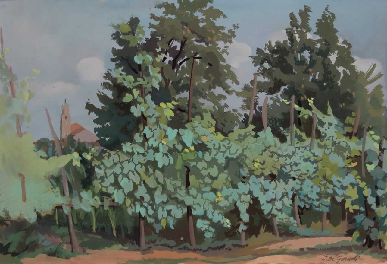 Le jardin de la Zia Celesta