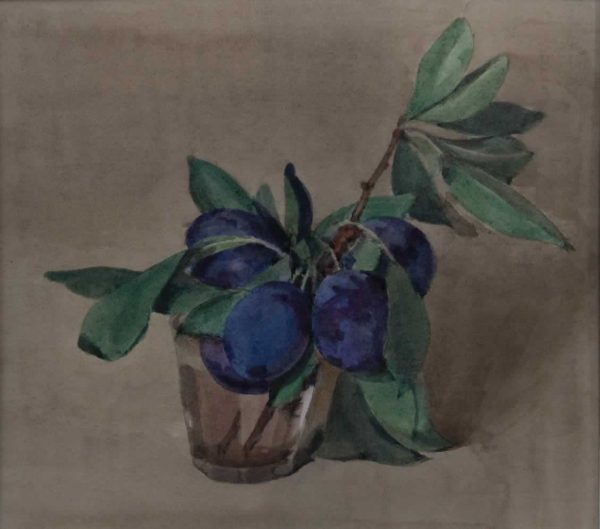 Italo De Grandi : Rameau de pruneaux